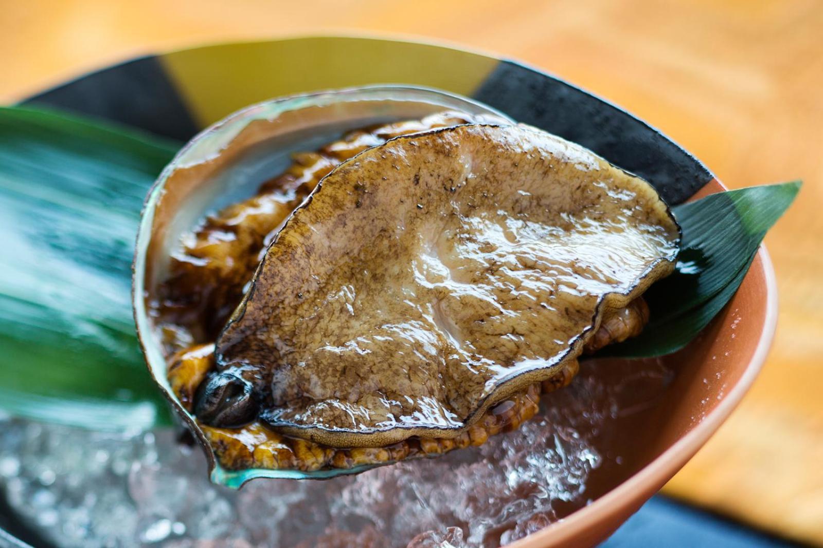 米格瓦特欧驰卡慈酒店 Tomo 外观 照片